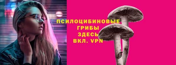 молекула духа Алексин