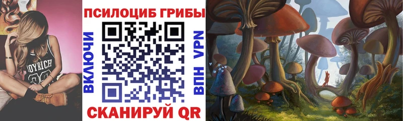 Псилоцибиновые грибы Magic Shrooms  Нолинск 